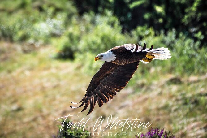Three Day Private Denali Photo Workshop - An In-Depth Look at the Denali Photo Workshop