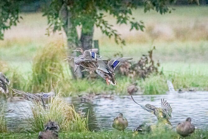 Three Day Private Denali Photo Workshop - The Sum Up