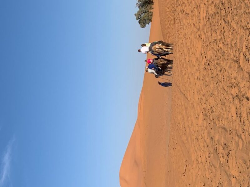 Three Days Desert Trip From Marrakech - Important Information