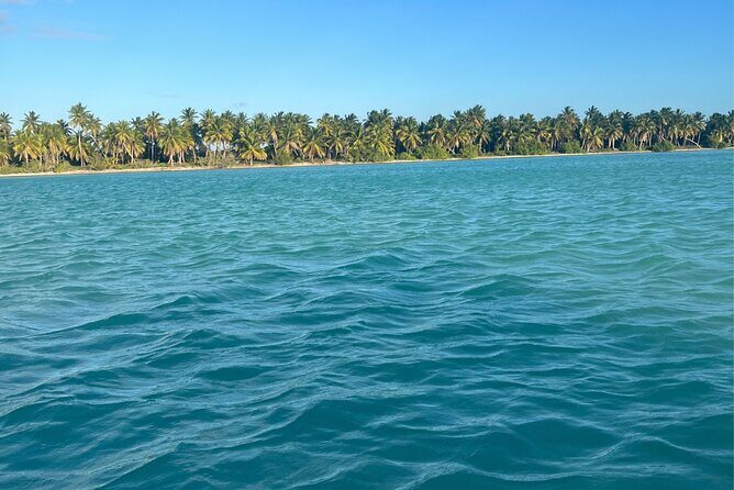 Three Treasures of Saona Palmilla, Pueblo and Canto de la Playa - Introduction