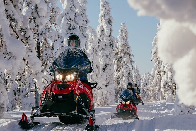 Thrill of Snowmobiling for Adults Only - The Experience in Detail