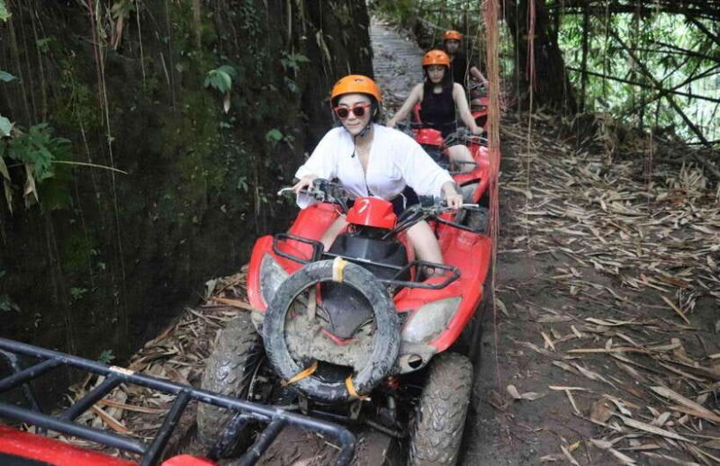 Thrill Seeker's Escape: Bali Jungle & Waterfalls ATV Tour - Final Thoughts: Who Will Love This Tour?