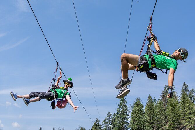 Thrilling 2-Hour Zipline Tour in Radium Hot Springs - Experience Breakdown: What You Can Expect
