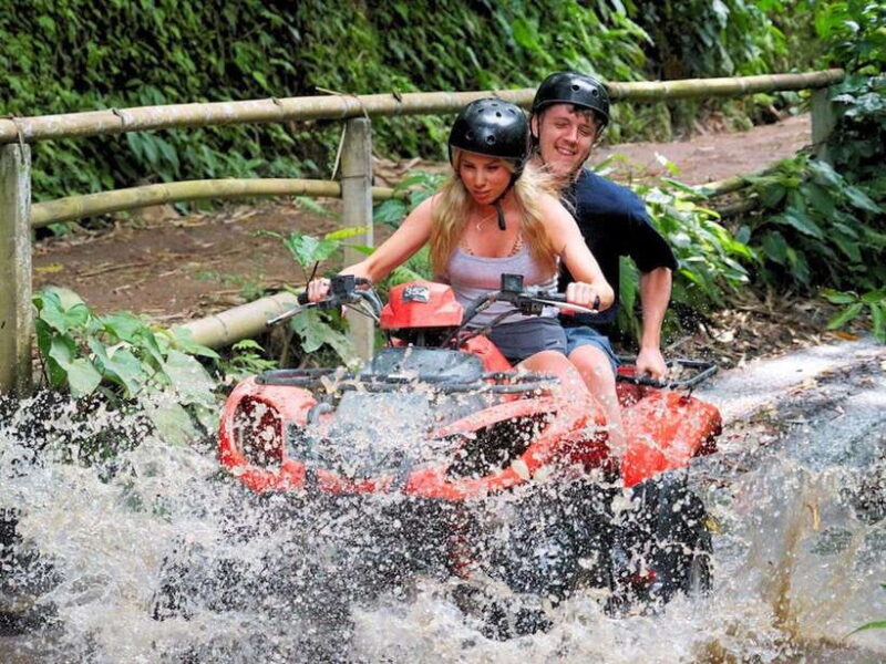 Thrilling ATV Rides - Tandem - What the Reviews Say  