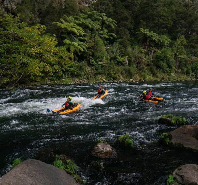 Thrilling Riverbug Adventure on the Rangitiki River - An Authentic, Thrilling Adventure in New Zealand’s North Island