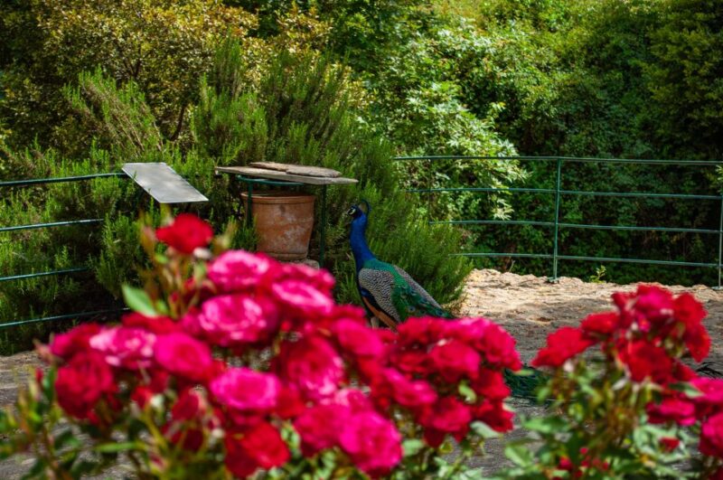 Through Heart of Crete to South & Wine Tasting Private Tour - Key Points