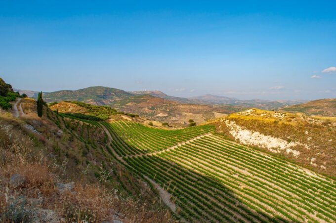 Through Heart of Crete to South & Wine Tasting Private Tour - Wine Tasting Experience