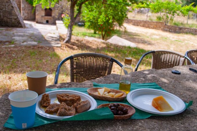 Through Heart of Crete to South & Wine Tasting Private Tour - Scenic Picnic Location