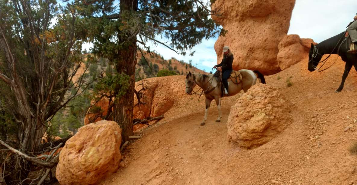 Thunder Mountain Trail: Scenic Horseback Ride - Activity Duration