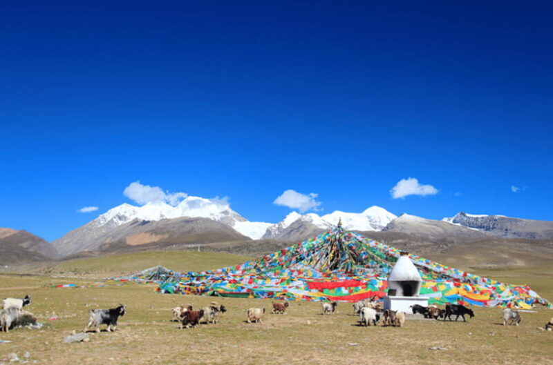 Tibet classic highlights 5days tour - Practical Tips for Future Travelers