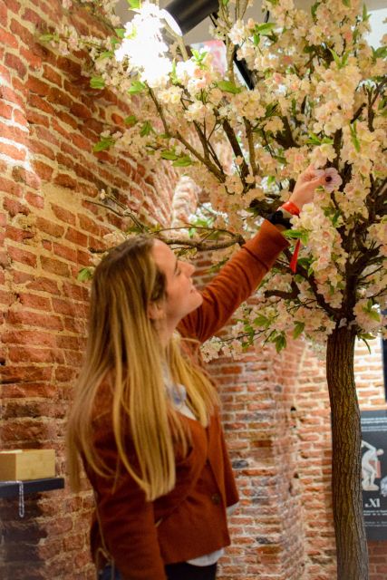 Ticket Entrance to the Madrid Nougat Museum - Customer Feedback and Ratings