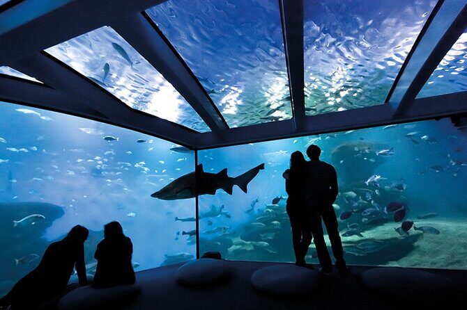 Ticket Palma Aquarium - The Practicalities: Timing, Group Size, and Entry