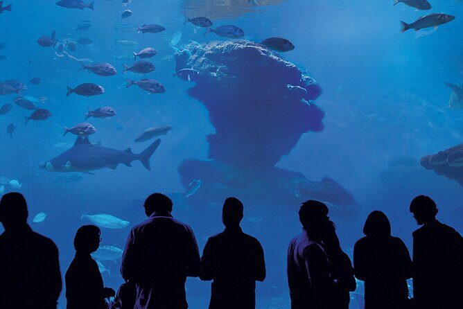 Ticket Palma Aquarium - Value for Money