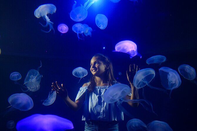 Ticket Palma Aquarium - Who Should Visit?