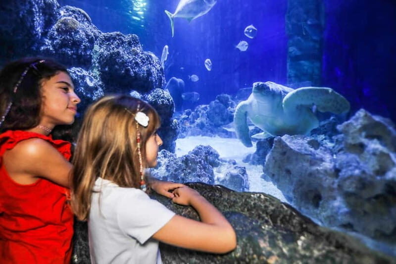 Ticket to SEA LIFE Konstanz - Key Points