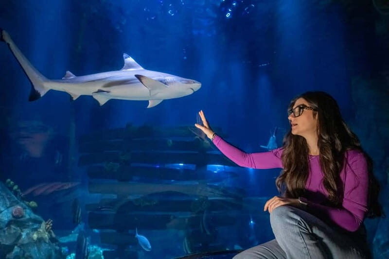Ticket to SEA LIFE Konstanz - What You Can Expect at SEA LIFE Konstanz