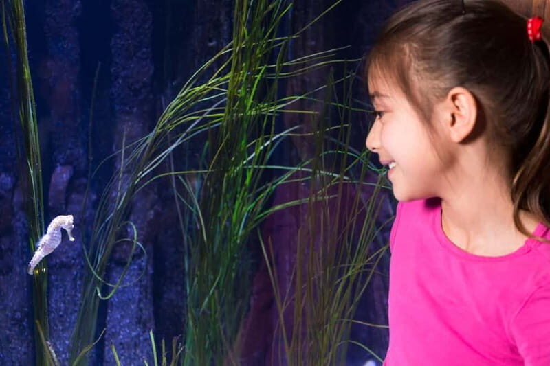 Ticket to SEA LIFE Konstanz - FAQ