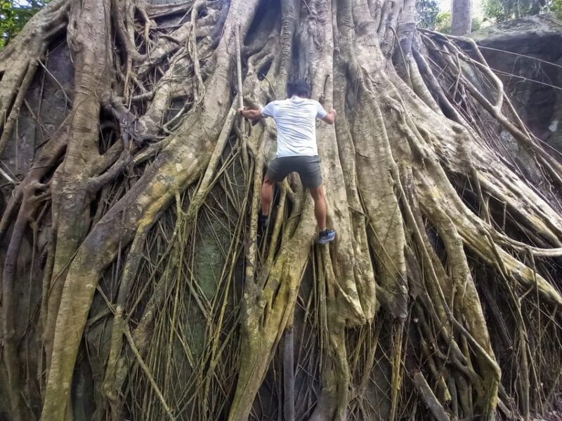 Tien Son Dinh 1-Day Trekking Tour Phu Quoc - Important Information
