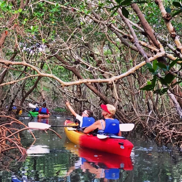 Tierra Verde FL: Coastal Kayaking Tour in Shell Key - Key Points