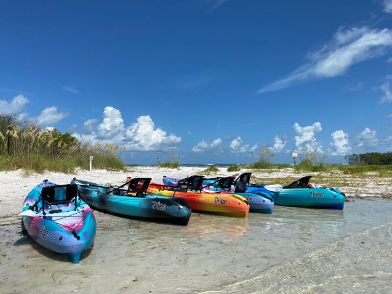 Tierra Verde FL: Coastal Kayaking Tour in Shell Key - A Closer Look at the Shell Key Kayaking Experience