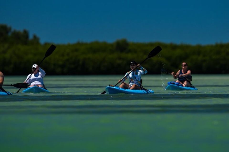 Tierra Verde: Kayak Tour at Shell Key With Capt Yak - Exploring the Shell Key Preserve