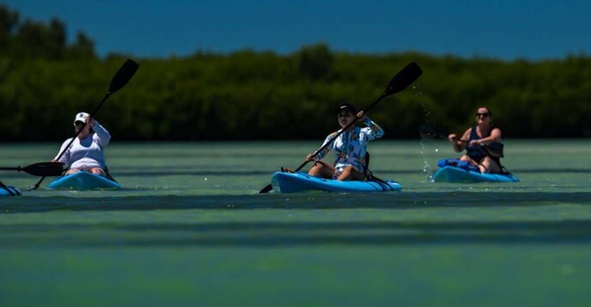 Tierra Verde: Kayak Tour at Shell Key With Capt Yak - Potential Wildlife Sightings