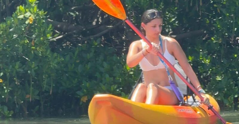 Tierra Verde: Shell Key Mangrove Private Guided 1.5 hr Tour - A Close Look at the Experience