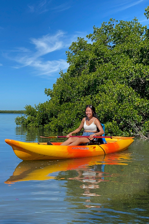 Tierra Verde: Shell Key Mangrove Private Guided 1.5 Hr Tour - Inclusions and What to Bring