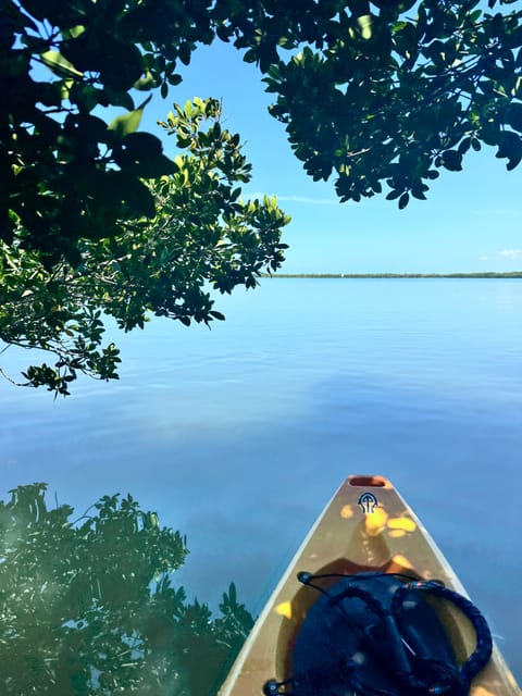 Tierra Verde: Shell Key Mangrove Private Guided 1.5 Hr Tour - Restrictions and Suitability
