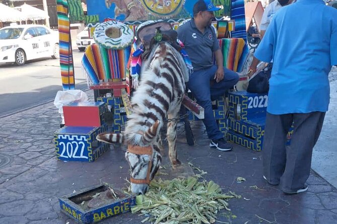 Tijuana & Rosarito Tour/The Best Tacos El Yaqui - Highlights of the Tour