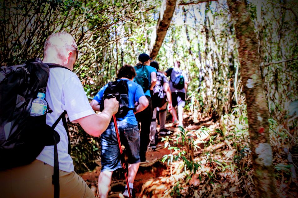 Tijuca Forest: Adventure & History Half-Day Hike - Highlights of the Hike