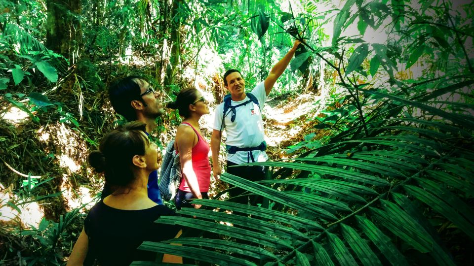 Tijuca Forest: Adventure & History Half-Day Hike - Tips for Hikers