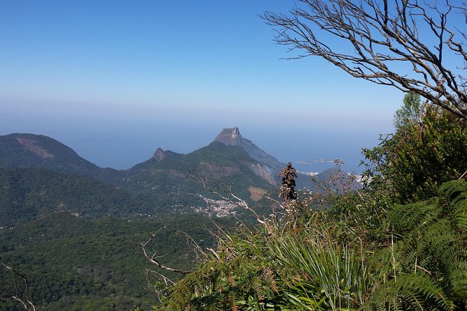 Tijuca Peak Hiking Tour & Taunay Waterfall - Rio De Janeiro - Wildlife Encounters
