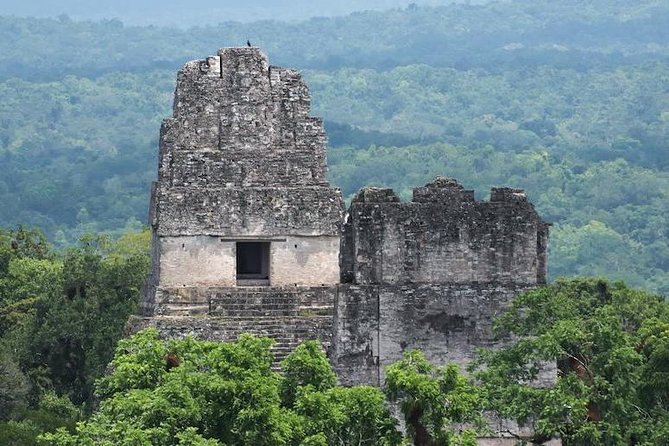 Tikal Mayan Adventure - 1 Day Tour - Good To Know