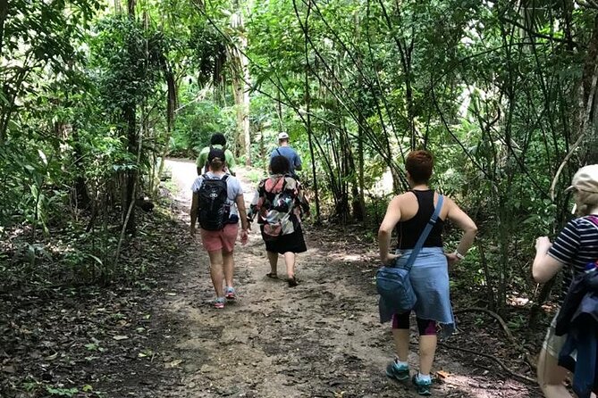 Tikal Private Day Tour Maya Adventure From Flores - Guest Experiences and Testimonials