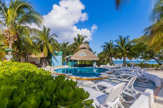 Tikinxic Barefoot Fish Guided Cookout Experience in Cozumel - Who Should Consider This Tour?