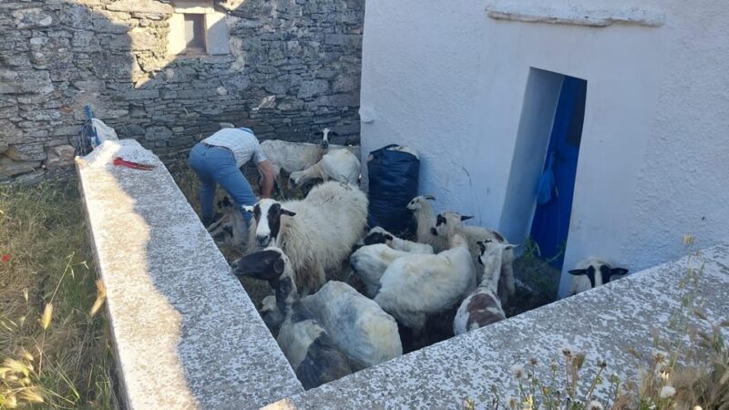 Tinos: 3-Day Hiking Adventure - Final Thoughts: Is This Tour Right for You?