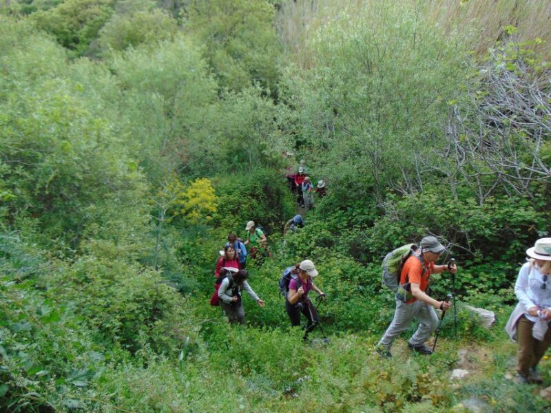 Tinos: Tarampados to Komi Guided Hiking Tour - Frequently Asked Questions