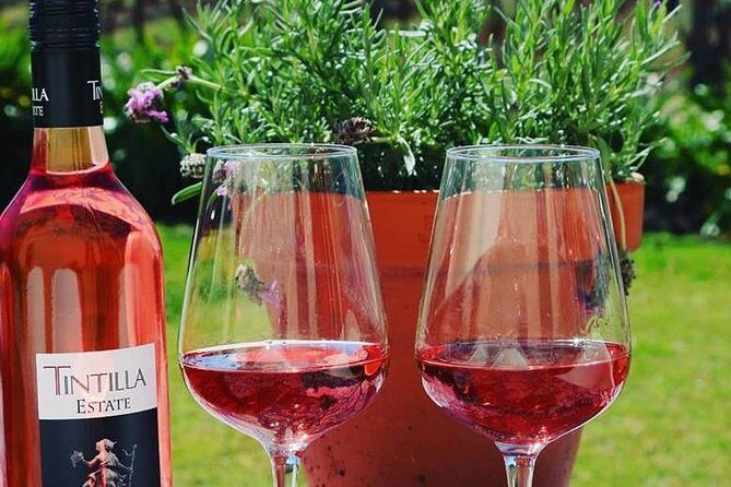Tintilla Estate: Wine Tasting with a Meat and Cheese Platter - Who Will Love This Tour?