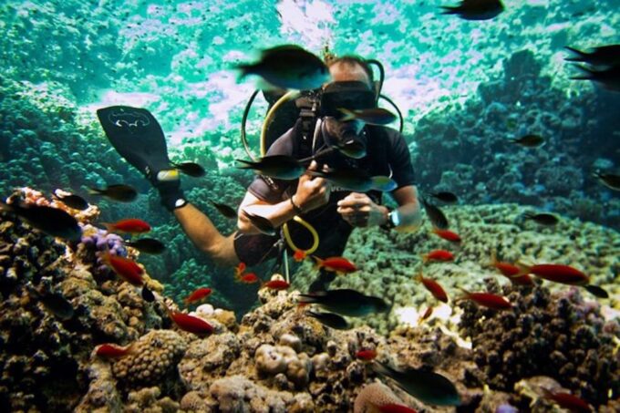 Tiran Island: Full-day Snorkeling, Diving Boat Trip - Nearby Attractions