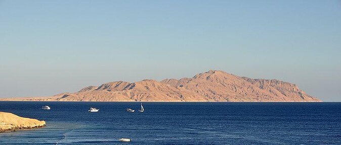 Tiran Island Snorkeling Trip by Boat From Sharm El Sheikh - Traveler Reviews
