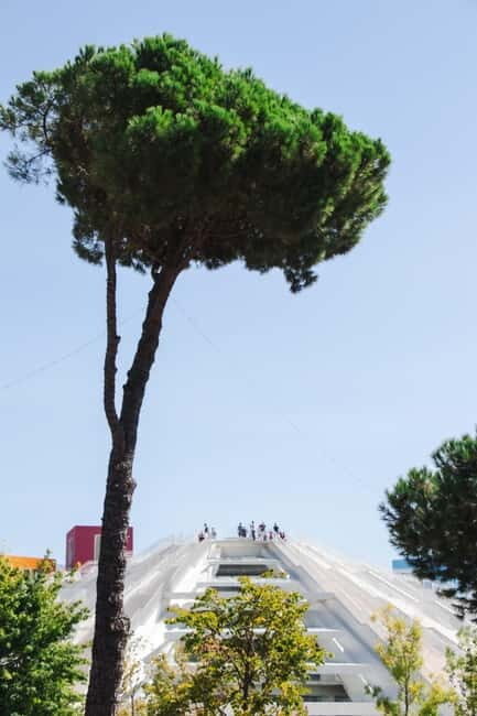 Tirana City & Food Tour - Meals Included (small group) - Who Will Enjoy This Tour?