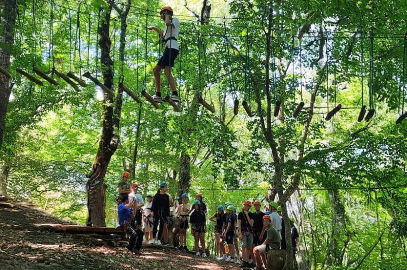 Tirana: Dajti Mountain by Cable Car with local Guide - An In-Depth Look at the Dajti Mountain Cable Car Tour