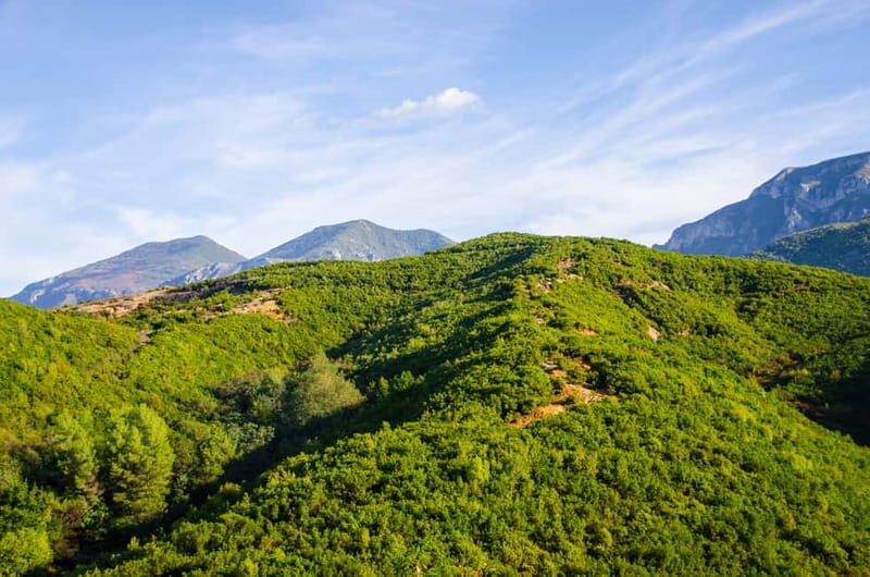 Tirana: Dajti Mountain Half-Day Trip with Cable Car Ticket - The Itinerary in Detail: What to Expect