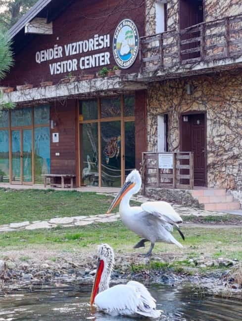 Tirana / Durrës: Berat UNESCO City & Karavasta National Park - Practical Details: What You Should Know