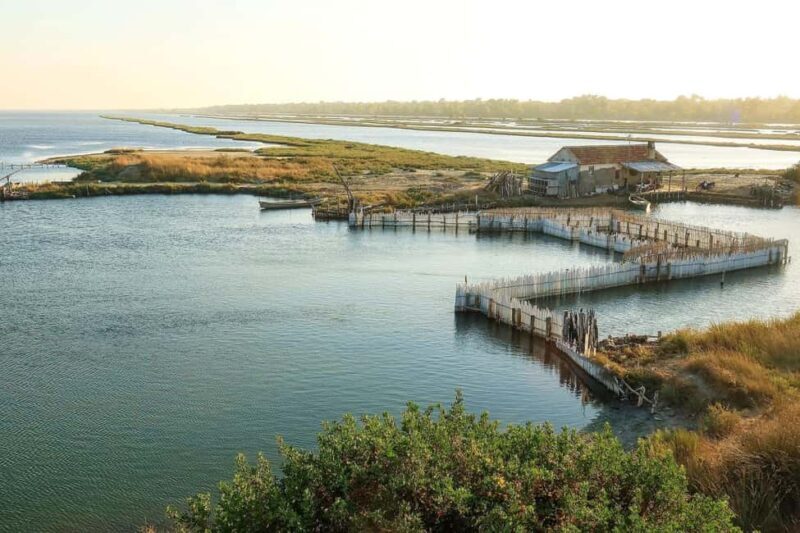 Tirana/Durres/Golem: Karavasta Lagoon Day Tour with Boat - Key Points