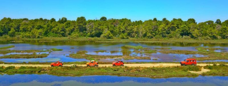 Tirana/Durres/Golem: Karavasta Lagoon Day Tour with Boat - In-Depth Itinerary Breakdown