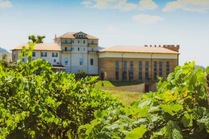 Tirana Lundra Winery Guided Tour with Wine Tasting - Who Will Enjoy This Tour?