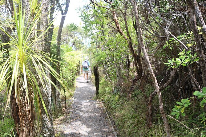 Tiritiri Matangi Island Discovery - from Auckland - Key Points