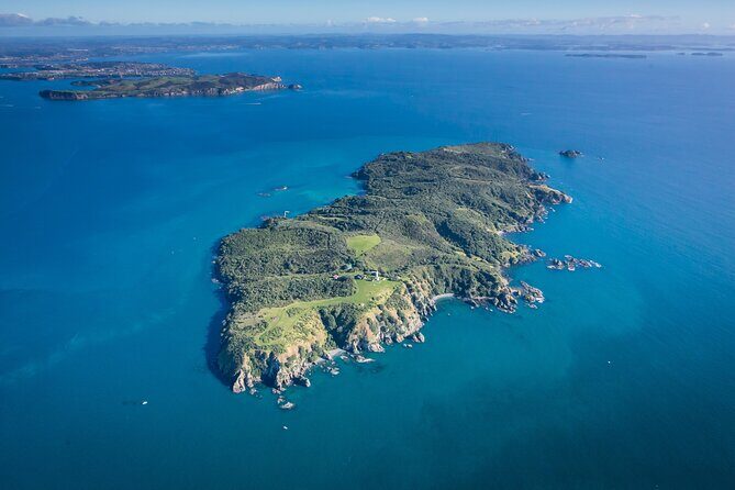 Tiritiri Matangi Island Discovery - from Auckland - How the Tour is Structured and What to Expect